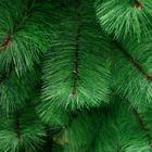 Искусственная ёлка «Зимнее волшебство. Кедр зелёный», 150 см, d иголок 10 см, d нижнего яруса 87 см, 152 ветки отгибаются - Фото 2