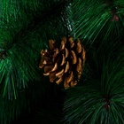 Искусственная ёлка с шишками настольная «Зимнее волшебство. Кедр зеленый» 90 см, d нижнего яруса 60 см, d иголок 10 см, 57 веток отгибаются - Фото 3