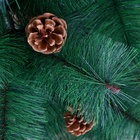 Искусственная ёлка с шишками «Зимнее волшебство. Кедр зелёный», 150 см, d иголок 10 см, d нижнего яруса 88 см, 152 ветки отгибаются - Фото 3