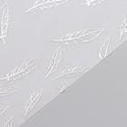 Веллум с фольгированием "Silver Feather" 30,5х30,5 см - Фото 2