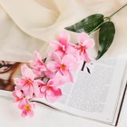 Цветы искусственные "Орхидея амезиелла" 65 см, розовый - фото 318620300