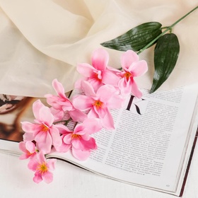 Цветы искусственные «Орхидея амезиелла», h=65 см, розовые (комплект 2 шт)