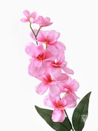 Цветы искусственные «Орхидея амезиелла», h=65 см, розовые - Фото 5