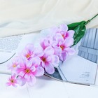 Цветы искусственные "Орхидея амезиелла" 65 см, сиреневый - фото 7770936