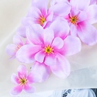 Цветы искусственные «Орхидея амезиелла», h=65 см, сиреневые - Фото 3