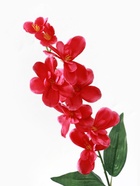 цветы искусственные орхидея амезиелла 65 см малиновый - фото 809293921