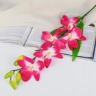 Цветы искусственные "Орхидея Гуарианте" 70 см, розовый - фото 7770944