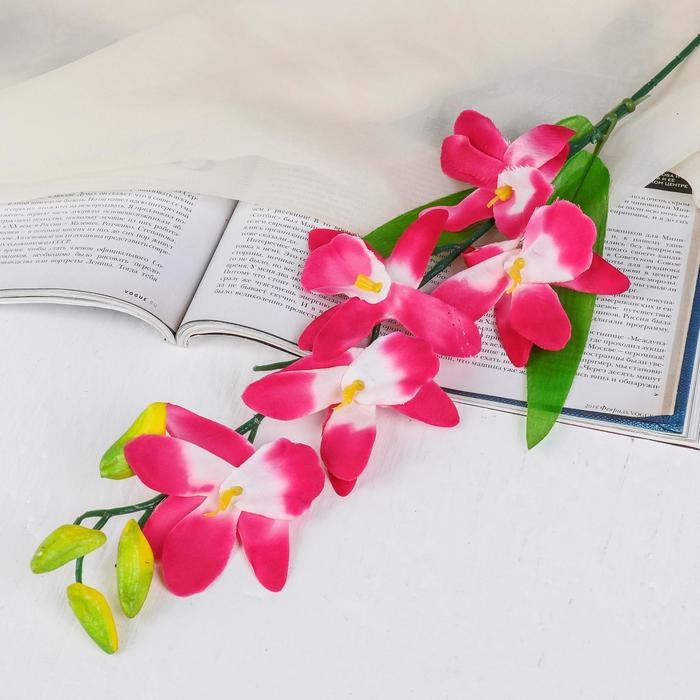 Цветы искусственные "Орхидея Гуарианте" 70 см, розовый - Фото 1