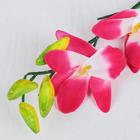 Цветы искусственные "Орхидея Гуарианте" 70 см, розовый - Фото 2