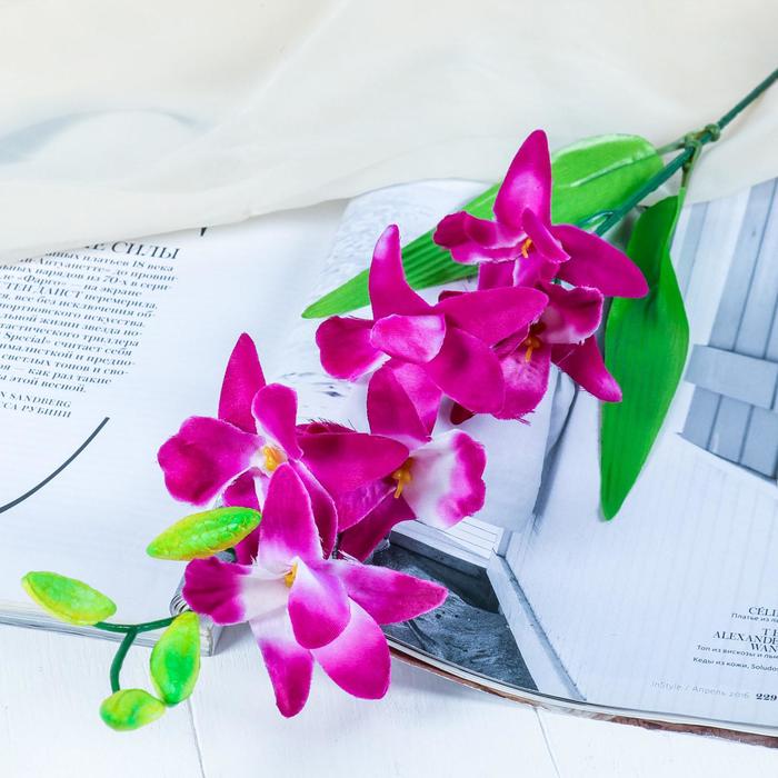 Цветы искусственные "Орхидея гастрорхис" 70 см, бело-фиолетовый - Фото 1