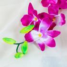 Цветы искусственные "Орхидея гастрорхис" 70 см, бело-фиолетовый - Фото 2