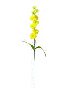 Цветы искусственные «Веточка сакуры», h=70 см, жёлтые - Фото 3