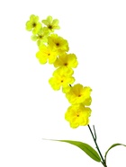 Цветы искусственные «Веточка сакуры», h=70 см, жёлтые - Фото 4
