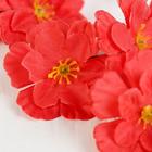 Цветы искусственные "Веточка сакуры" d-5 см 70 см, красный - Фото 2