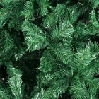 Искусственная ёлка «Зимнее волшебство. Зауженная», 240 см, 1850 ПВХ веток на крючках - Фото 3