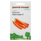 Семена Морковь Нантская-4 1 гр - фото 318453198