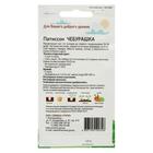 Семена Патиссон Чебурашка 0,8 гр (комплект 4 шт) - фото 24646398