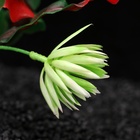 Набор растений искусственных для аквариума, 20 см, 2 шт. - Фото 4