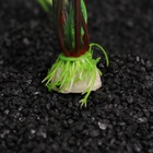 Набор растений искусственных для аквариума, 20 см, 2 шт. - Фото 5