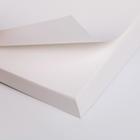 Набор"Пандастик", блок бумаги и ручка пластик - Фото 7
