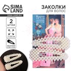 Заколки для волос «Мечта поэта», 2 шт, 7х2,5 см - Фото 1