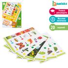 Набор обучающих карточек «Мир природы», к умному планшету - Фото 1