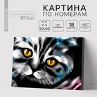 Картина по номерам на холсте с подрамником «Котик», 40 х 50 см - Фото 1