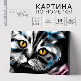 Картина по номерам на холсте с подрамником «Котик» 40 × 50 см