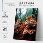 Картина по номерам на холсте с подрамником «Леопарды. Мама и малыш», 40 х 50 см - фото 318454318
