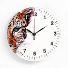 Часы настенные "Леопард", дискретный ход, d-23.5 см - фото 319873499