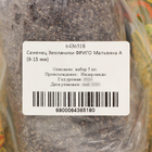 Саженец Земляники ФРИГО Мальвина A (9-15 мм) ,  набор 5 шт - фото 25266855