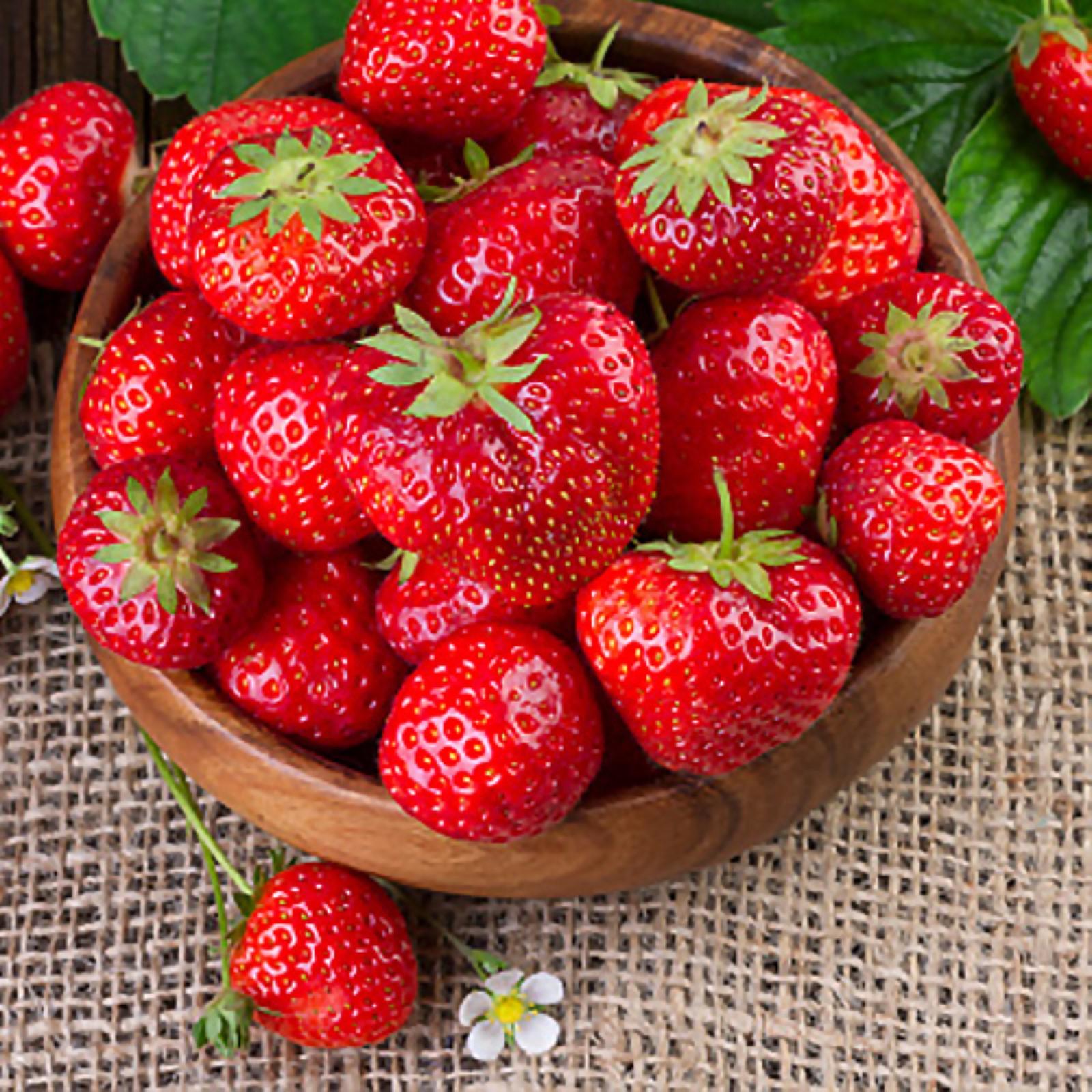 Клубника флорентина фото