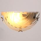 Светильник "Диона" моллир., 1х60Вт Е27, хром, d=30 см,  h=5,5 см - фото 25266863