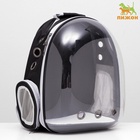 Рюкзак для переноски животных прозрачный, 31×28×42 см, чёрный - Фото 4