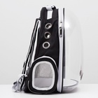 Рюкзак для переноски животных прозрачный, 31×28×42 см, чёрный - Фото 5