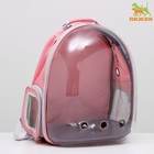 Рюкзак для переноски животных, прозрачный, 31 х 28 х 42 см, розовый - фото 318455162