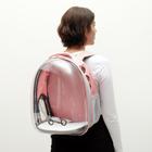 Рюкзак для переноски животных, прозрачный, 31 х 28 х 42 см, розовый - фото 6377768
