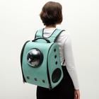 Рюкзак для переноски животных, прозрачный, 31 х 28 х 42 см, розовый - фото 6377769