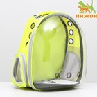 Рюкзак для переноски животных, прозрачный, 31 х 28 х 42 см, жёлтый - фото 295087119