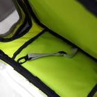 Рюкзак для переноски животных, прозрачный, 31 х 28 х 42 см, жёлтый - фото 8629867