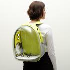 Рюкзак для переноски животных, прозрачный, 31 х 28 х 42 см, жёлтый - фото 8629868