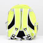 Рюкзак для переноски кошек и собак, прозрачный, 31 х 28 х 42 см, жёлтый - Фото 5