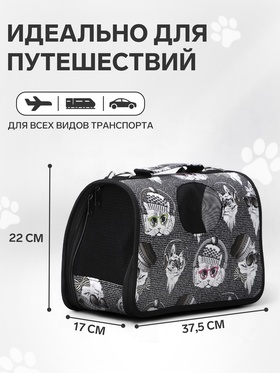 Сумка-переноска каркасная "Зимние коты", размер S, 37,5 х 17 х 22 см