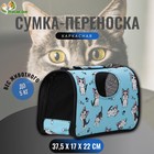 Сумка - переноска каркасная «Играющие котики», размер S, 37.5×17×22 см, голубая - Фото 7