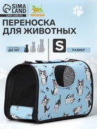 Сумка - переноска каркасная «Играющие котики», размер S, 37.5×17×22 см, голубая - Фото 1