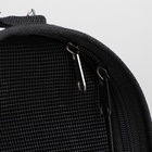 Сумка - переноска каркасная «Играющие котики», размер S, 37.5×17×22 см, голубая - Фото 10