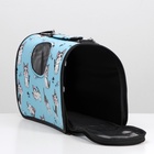 Сумка - переноска каркасная «Играющие котики», размер S, 37.5×17×22 см, голубая - Фото 11