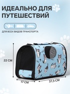 Сумка - переноска каркасная «Играющие котики», размер S, 37.5×17×22 см, голубая - Фото 2