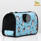 Сумка - переноска каркасная «Играющие котики», размер S, 37.5×17×22 см, голубая - Фото 4