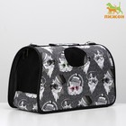 Сумка - переноска для животных «Зимние коты», размер M, 40×21×27 см - Фото 4